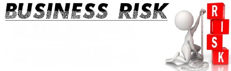 types of business risks